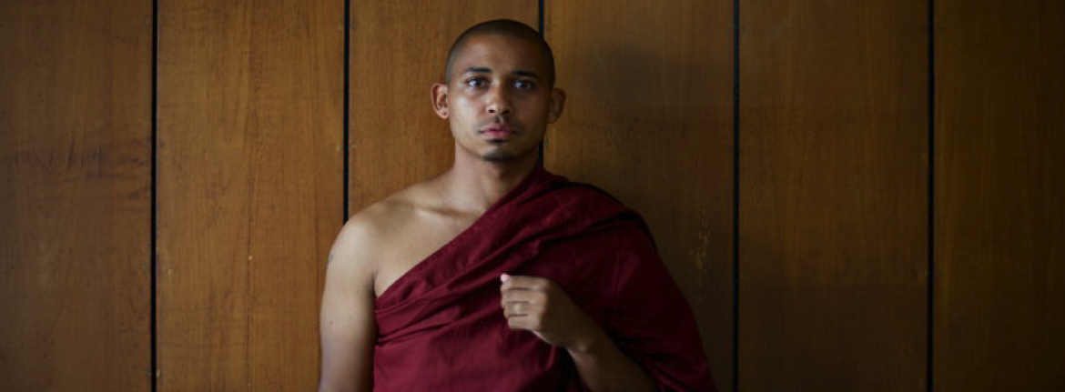 aoty_2012_Alex-Darling