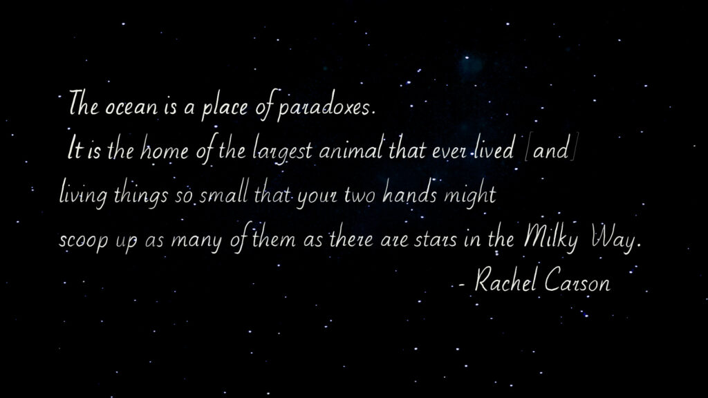 Promotional image from the film "This Mortal Plastik" by Jess Irish